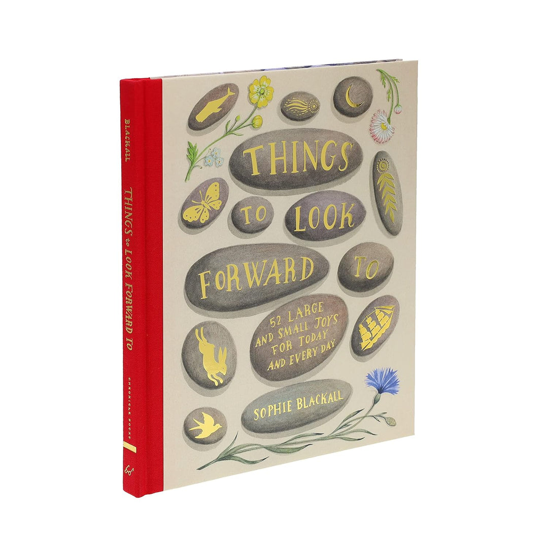 Things to Look Forward To: 52 Large and Small Joys for Today & Everyday