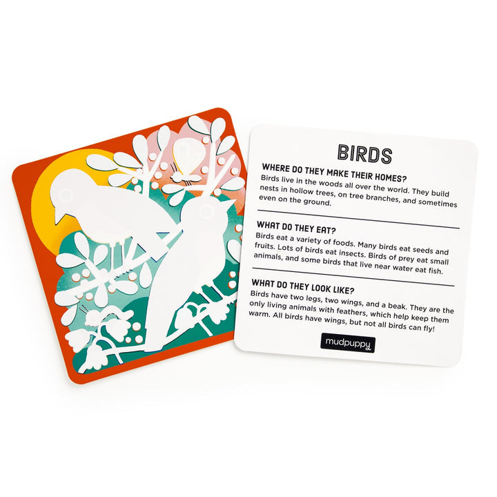 Woodland Friends Color Magic Water-Reveal Kit