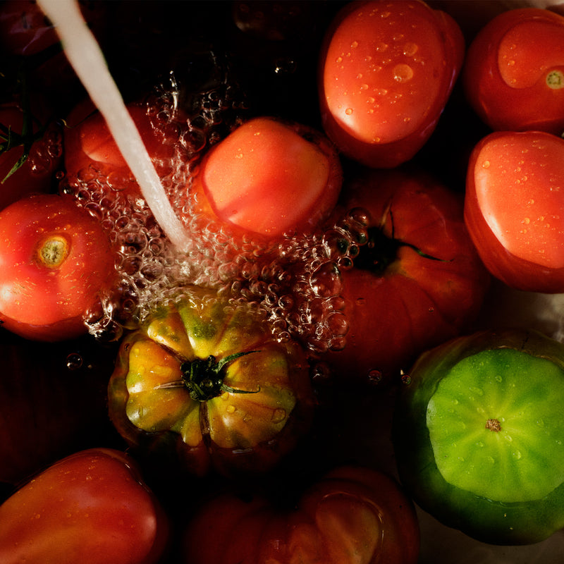 Tomato Trellis Small Jar Candle