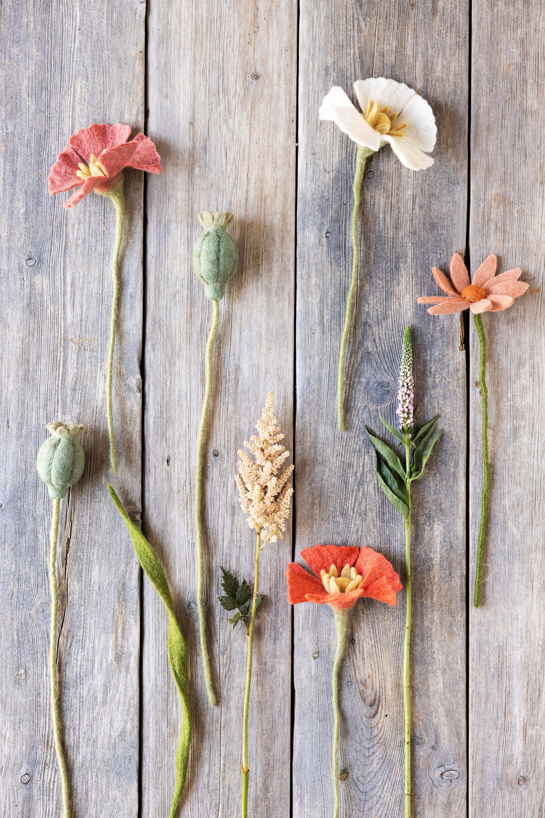 Coral Wool Poppy Flower