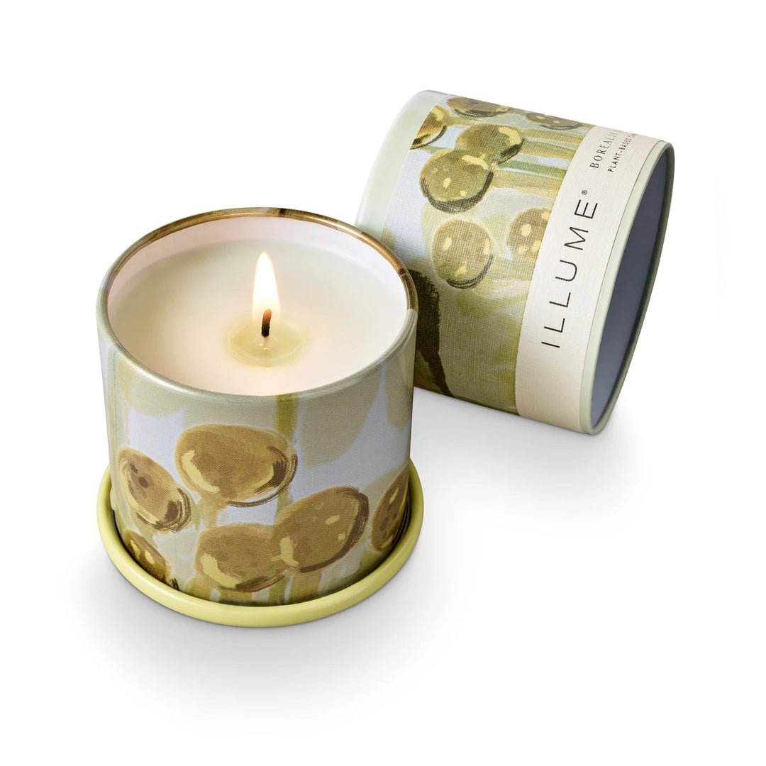 Borealis Moss Tin Candle - Merry PigletsIllume