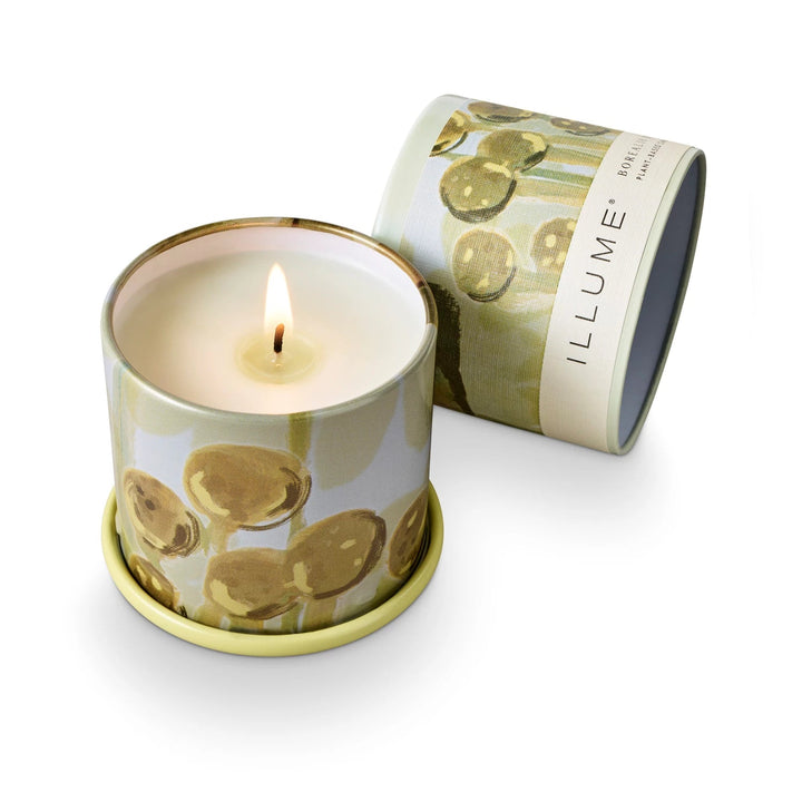 Borealis Moss Tin Candle - Merry PigletsIllume