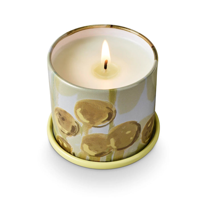 Borealis Moss Tin Candle - Merry PigletsIllume