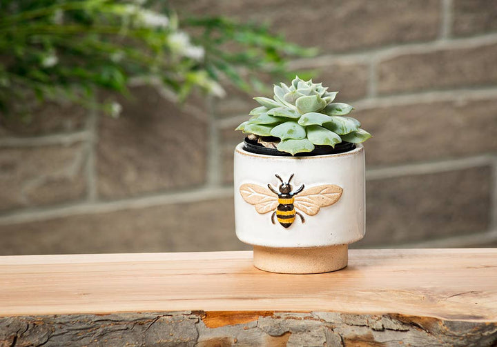 Embossed Bee Planter - Merry PigletsAbbott