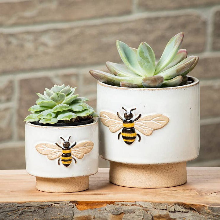 Embossed Bee Planter - Merry PigletsAbbott