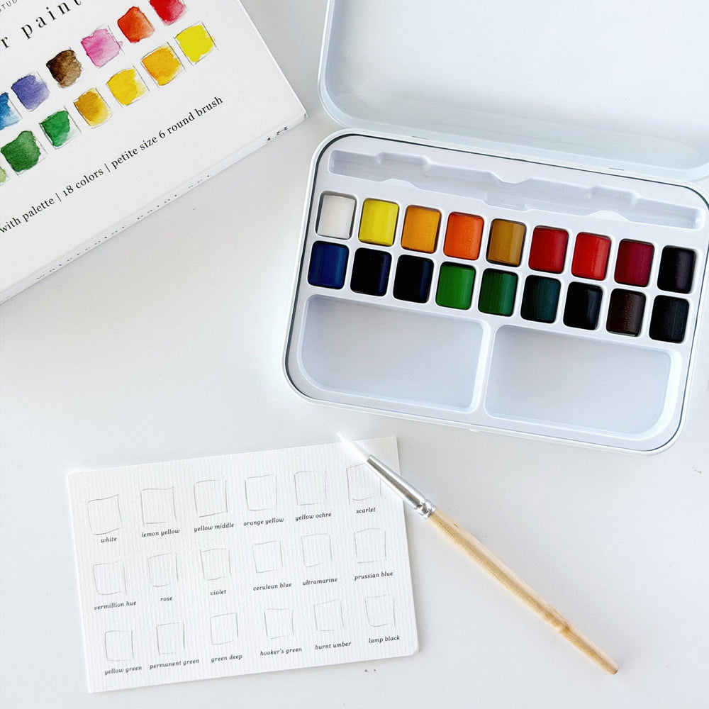 Emily Lex Watercolor Paint Set - Merry Pigletsemily lex studio