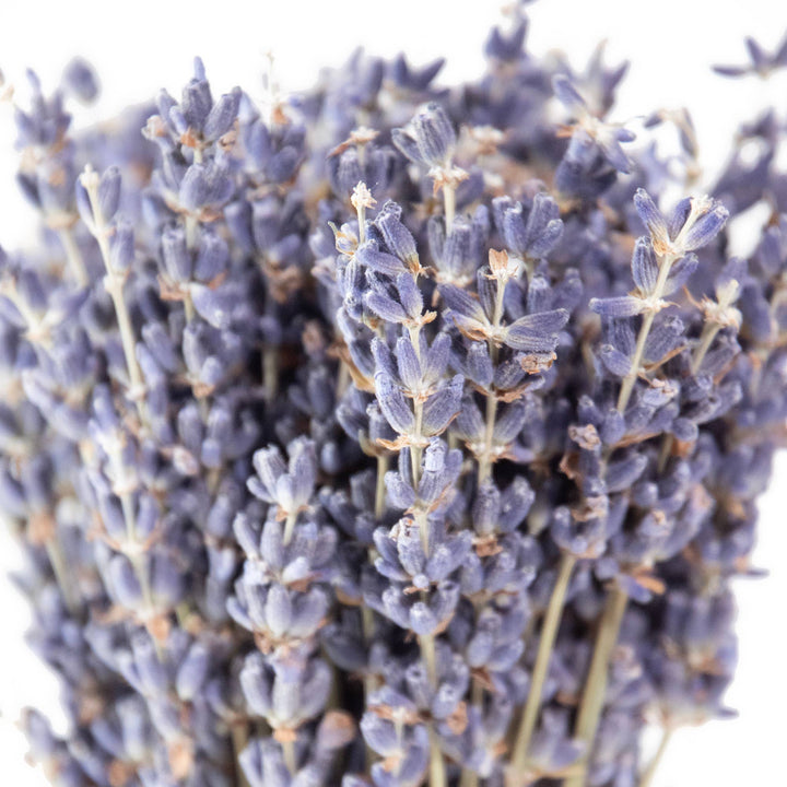 French Lavender Dried Mini Bundle - Merry PigletsAndaluca