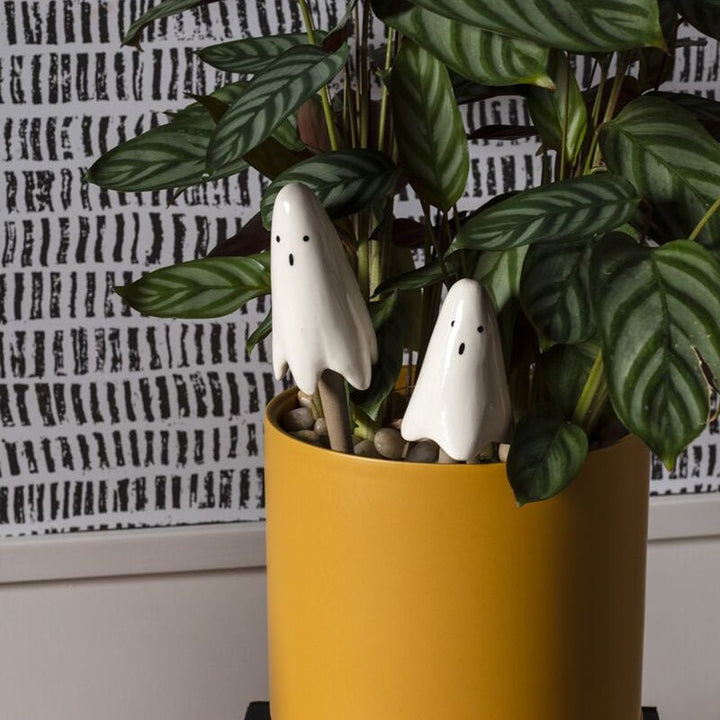 Ghost Plant Sticks Set - Merry Pigletsaccent decor