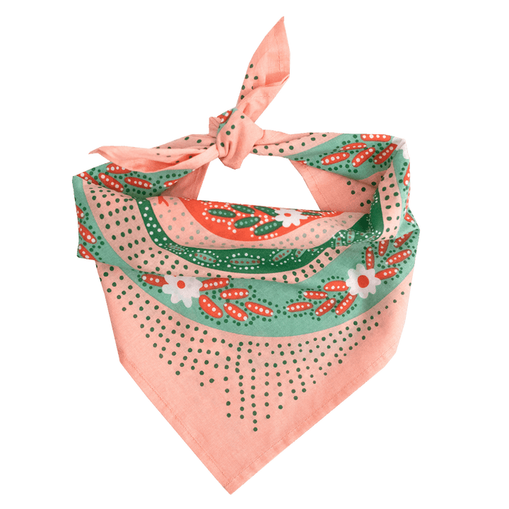 Pink Snakes Bandana - Merry PigletsHandker Bandanas