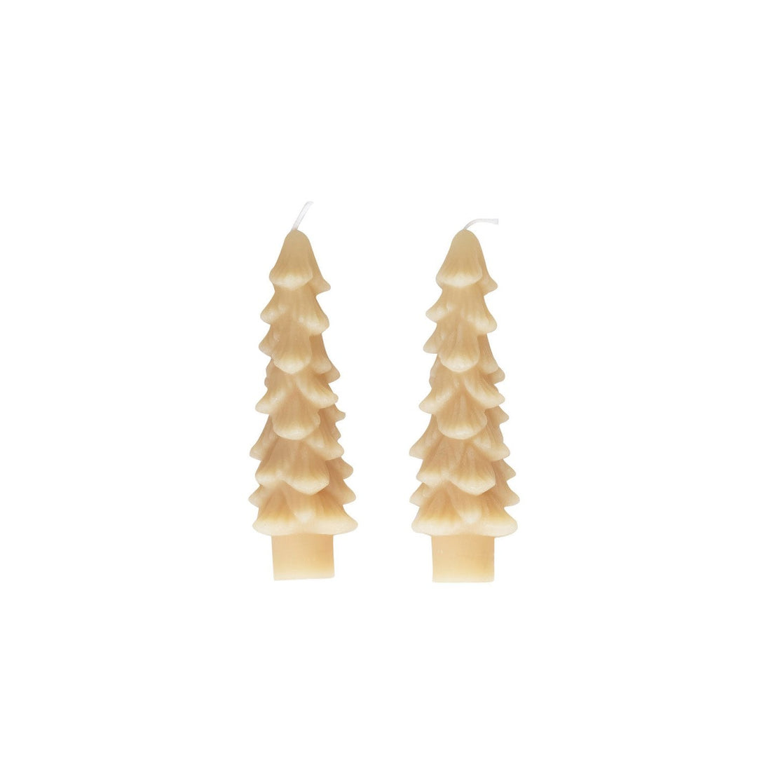 Tree Taper Candles - Eggnog - Merry PigletsCreative Co - Op