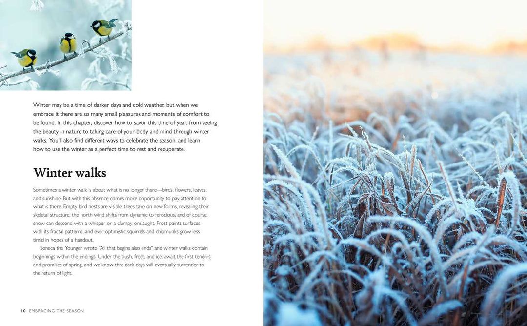 Winter Wellbeing Book - Merry PigletsSimon & Schuster